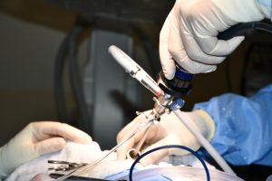 2e81a9_05f9bba77a634b4097a07ad831e01e99~mv2