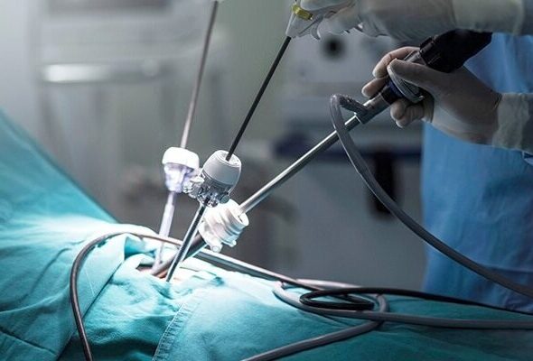 Roundtable discussion on STEAM education